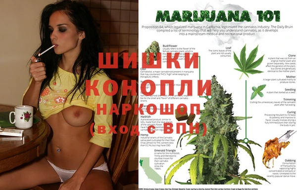 прущий лед Горно-Алтайск