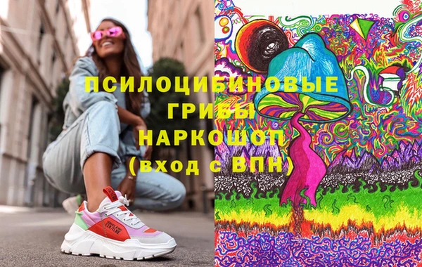 прущий лед Горно-Алтайск