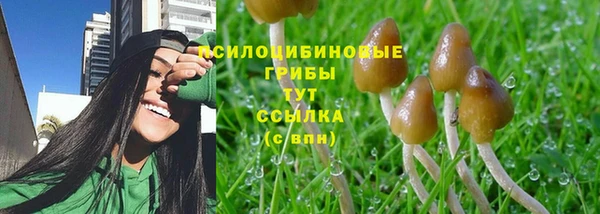 прущий лед Горно-Алтайск