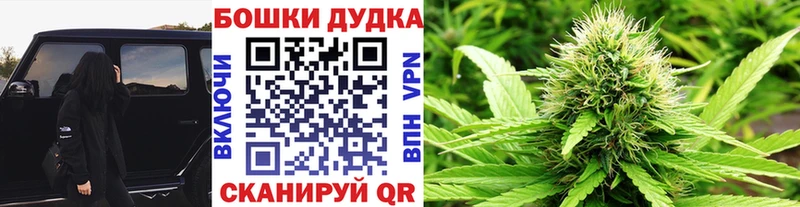 Купить  Новохопёрск  Марихуана White Widow 